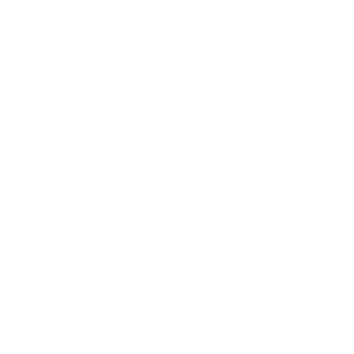 light logo